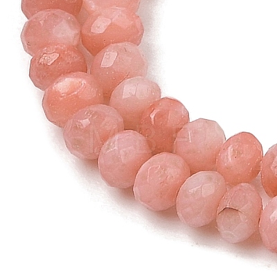 Natural Freshwater Shell Dyed Beads Strands SHEL-R100-13A-03-1