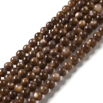 Natural Freshwater Shell Beads Strands SHEL-H003-03D-1