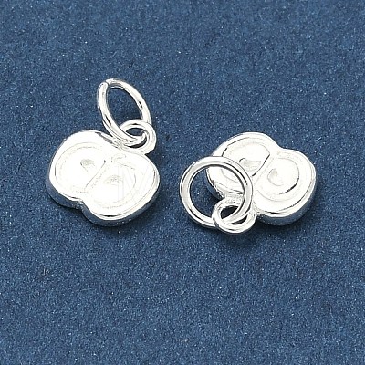 Teachers' Day 925 Sterling Silver Charms STER-A050-03B-S-1