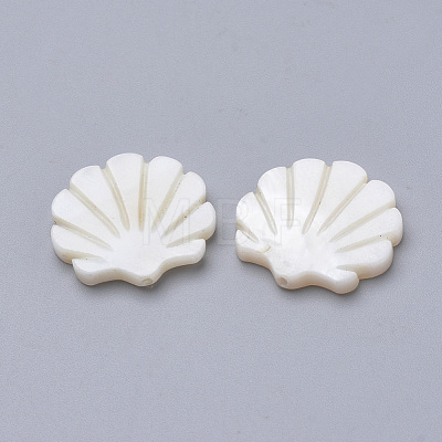 Natural Freshwater Shell Beads X-SHEL-T007-05-1