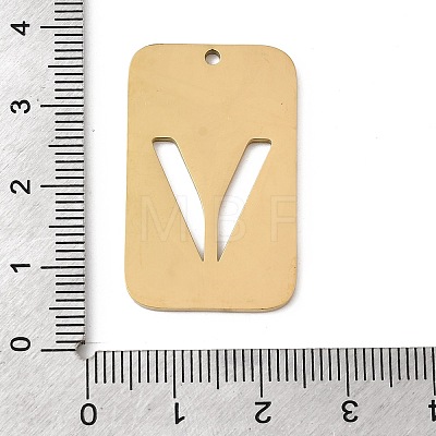 304 Stainless Steel Pendants STAS-D200-01V-G-1