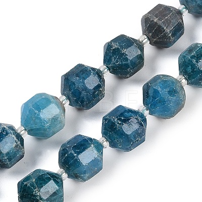 Natural Apatite Beads Strands G-O201B-146H-1