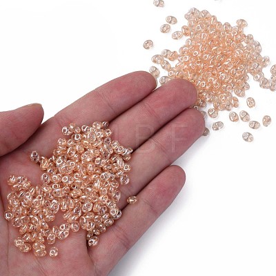 Transparent Czech Glass Seed Beads SEED-N004-005-C06-1