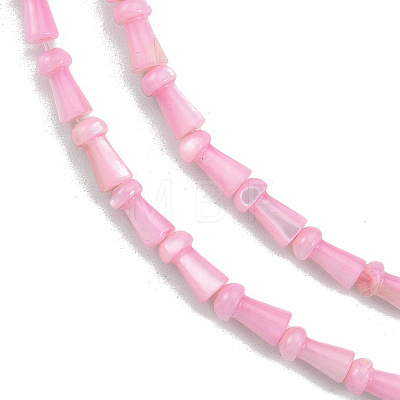 Natural Freshwater Shell Beads Strands SHEL-G013-02A-1