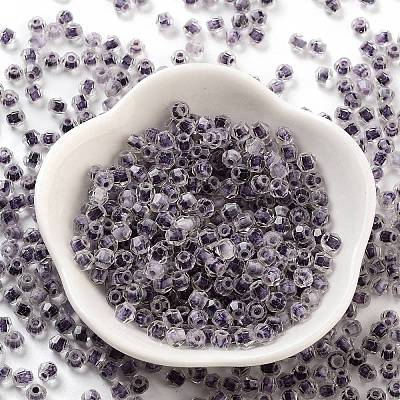 Glass Seed Beads SEED-A032-01P-1