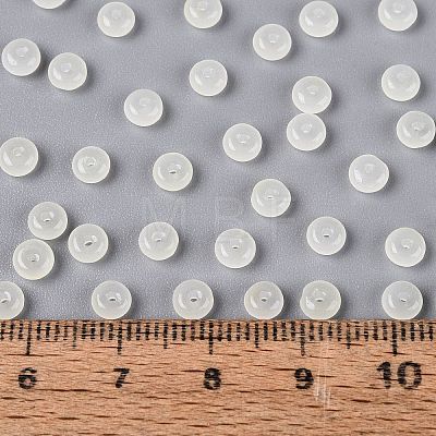 Transparent Glass Seed Beads SEED-Q041-01B-1