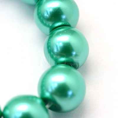 Baking Painted Pearlized Glass Pearl Round Bead Strands HY-Q003-14mm-29-1