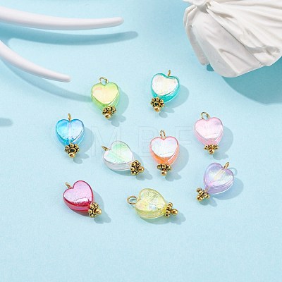 Eco-Friendly Transparent Acrylic Charms PALLOY-JF00749-02-1