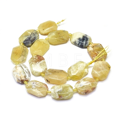 Natural Opal Beads Strands G-L552P-02C-1