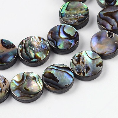 Natural Abalone Shell/Paua Shell Beads Strands X-SSHEL-G003-5-10x3mm-1