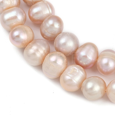 Natural Cultured Freshwater Pearl Beads Strands PEAR-I007-07J-11B-1