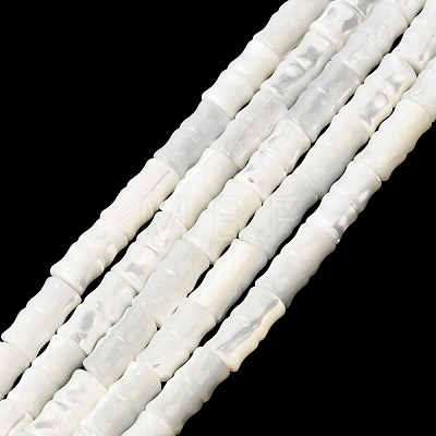 Natural Trochid Shell/Trochus Shell Beads Strands SHEL-A006-06A-1
