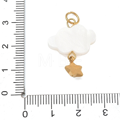 304 Stainless Steel Acrylic Pendants RB-CBA4D1F-13G-A-1