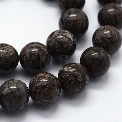 Natural Snowflake Obsidian Beads Strands X-G-I199-01-8mm-1