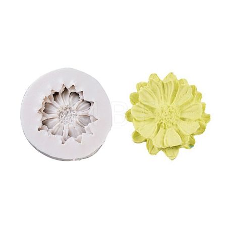Food Grade Silicone Molds LS-DIY-E018-39-1