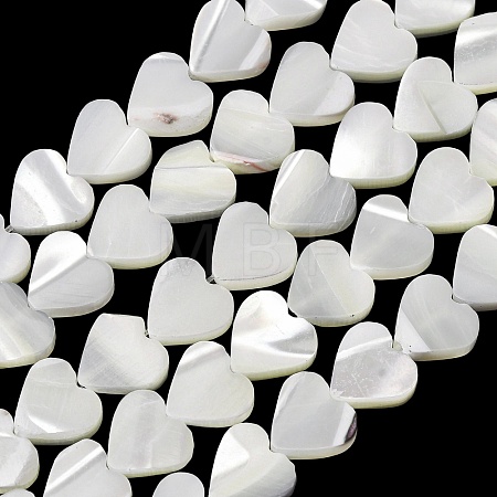 Natural Trochid Shell/Trochus Shell Beads Strands SH-CBA2978-19B-1
