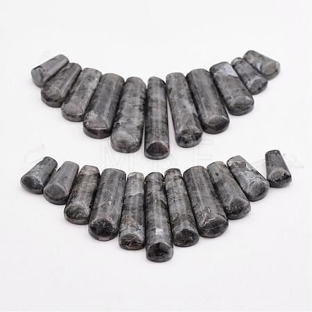 Natural Larvikite Beads Strands G-P298-J01-1