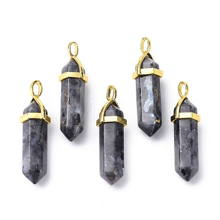 Natural Larvikite Pointed Pendants G-G025-01G-21-1