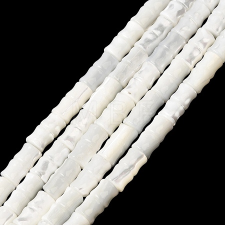 Natural Trochid Shell/Trochus Shell Beads Strands SHEL-A006-06A-1
