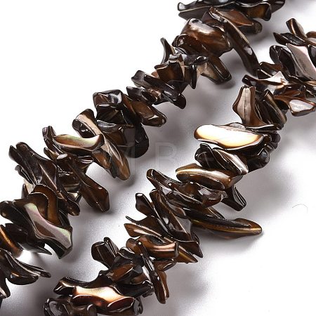 Natural Trochid Shell Beads Strands SSHEL-G023-05A-1