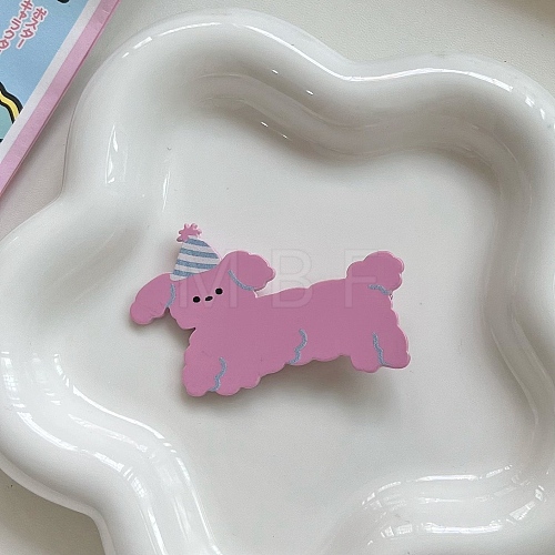 Cute Acrylic Alligator Hair Clips PW-WG54A16-06-1