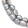 Natural Cultured Freshwater Pearl Beads Strands PEAR-P064-20J-04E-4