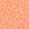 FGB Frosted Transparent Glass Seed Beads SEED-N013-02A-04-3