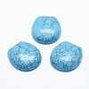 Synthetic Turquoise Cabochons G-G760-C08-1