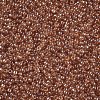 12/0 Grade A Round Glass Seed Beads SEED-Q011-F501-2