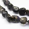 Natural Kyanite Quartz Beads Strands G-K202-04-3