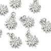 SHEGRACE Brass Micro Pave Cubic Zirconia Pendants XGRQ3D283-459P-1