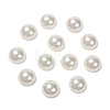 Half Round/Dome Half Drilled Shell Pearl Beads BSHE-N003-12mm-HC301-2