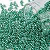 TOHO 11/0 Round Beads SEED-TR11-PF0561-1