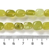 Natural Lemon Jade Beads Strands G-P497-01D-04-5