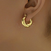 Stainless Steel Thick Hoop Earrings for Women OH7796-3