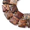 Natural Polychrome Jasper/Picasso Stone/Picasso Jasper Beads Strands G-F839-A30-01-4