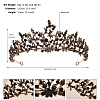 Alloy Rhinestone Hair Bands  for Woman Girls PW-WGA69DD-14-1