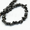 Natural Snowflake Obsidian Stone Bead Strands X-G-R192-A02-2