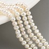 Natural Cultured Freshwater Pearl Beads Strands PEAR-C003-24-2