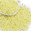 Baking Paint Glass Seed Beads X1-SEED-K010-A09-1