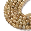 Natural Yellow Garnet Beads Strands G-Z129-C01-6mm-01-4