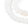 Natural Freshwater Shell Beads Strands SHEL-N038-30-3
