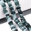 Dyed Natural Quartz Beads Strands G-N359-16A-02-1