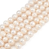 Natural Cultured Freshwater Pearl Beads Strands PEAR-I007-07Z-09C-2