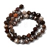Natural Petrified Wood Beads Strands G-Z119-A21-02-4
