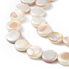 Electroplated Natural Freshwater Shell Beads Strands X-SHEL-K001-002-3