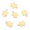 Ion Plating(IP) 201 Stainless Steel Charms STAS-N098-125LG-2