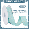 Polyester Ribbons OCOR-WH0120-44C-2