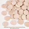 Unfinished Schima Wooden Round Pieces LS-WOOD-WH0027-73-4