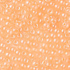 6/0 Imitation Jade Glass Seed Beads X1-SEED-N004-006-24-4